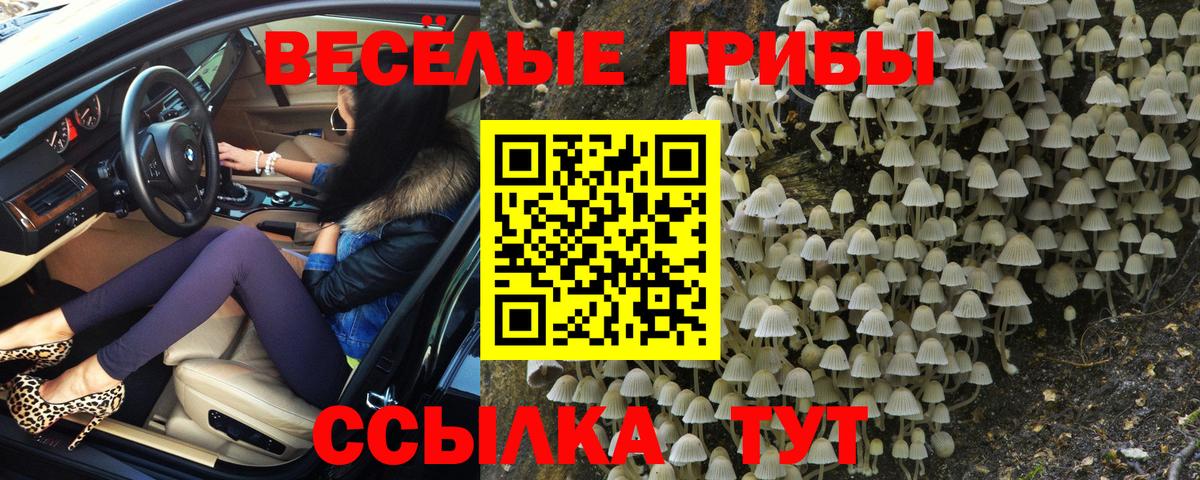 Псилоцибиновые грибы Psilocybine cubensis  цены наркотик  Кстово  Вход с VPN 