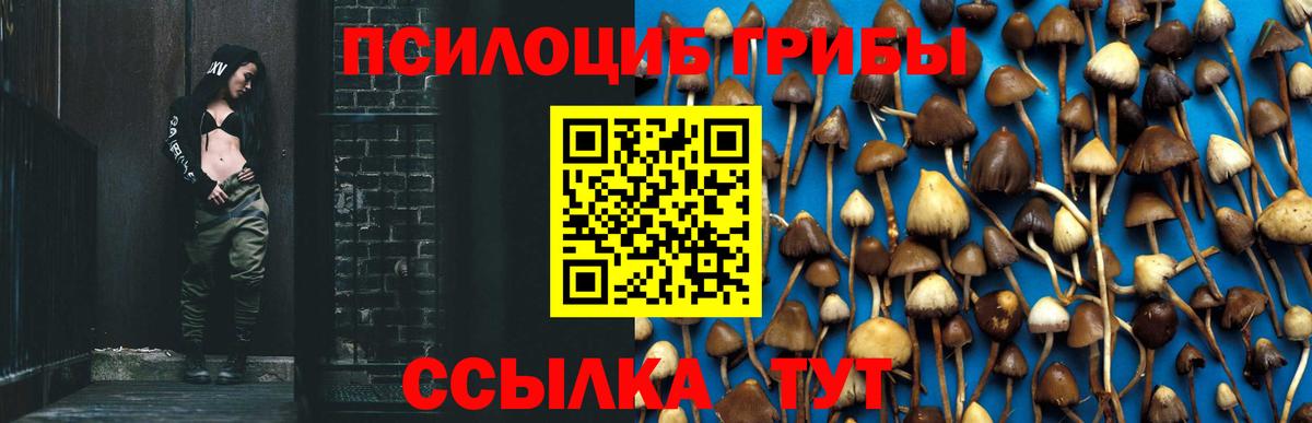 Псилоцибиновые грибы MAGIC MUSHROOMS Кстово